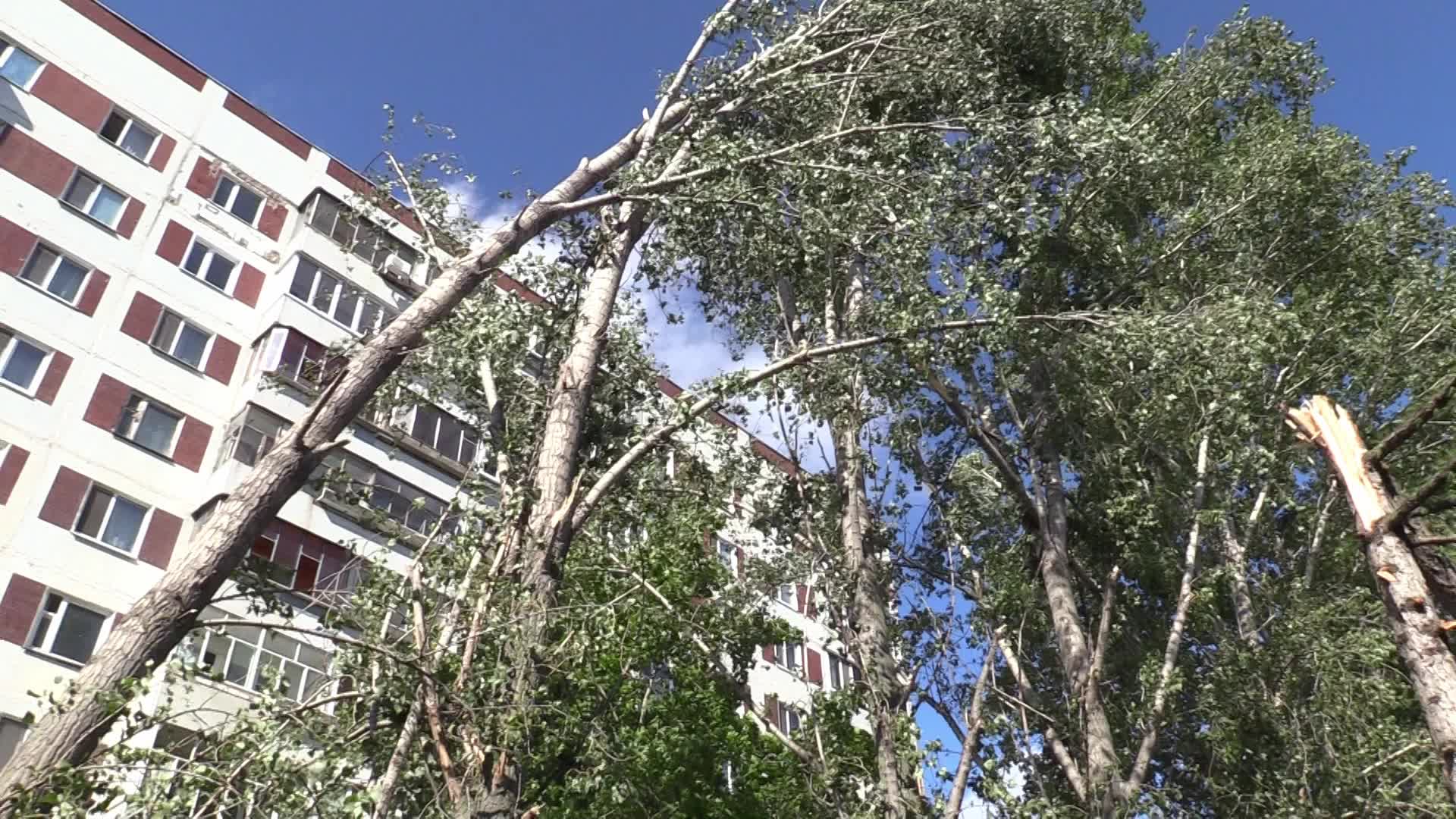 Последствия урагана в Новом городе. Видео и фото. | Новости Ульяновска.  Смотреть онлайн